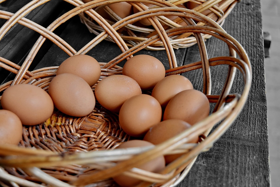 Egg eggshell market