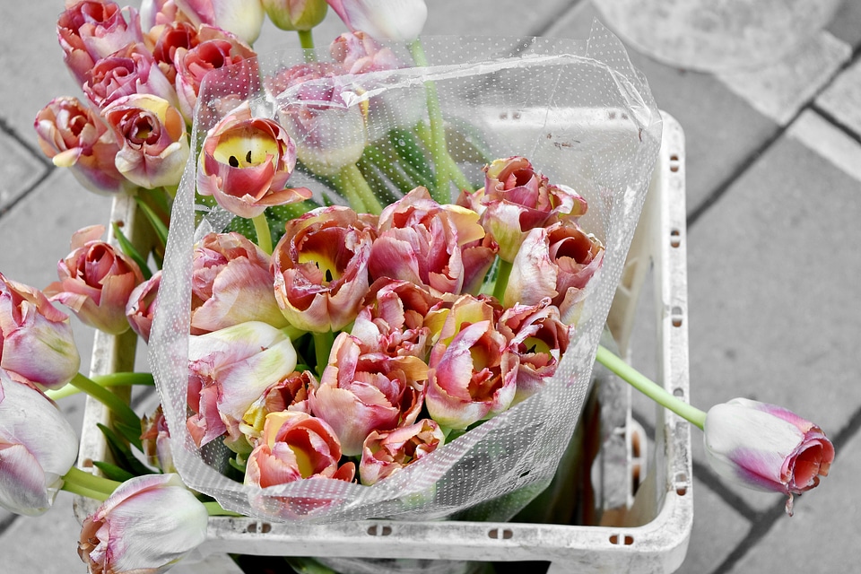 Arrangement bouquet decoration
