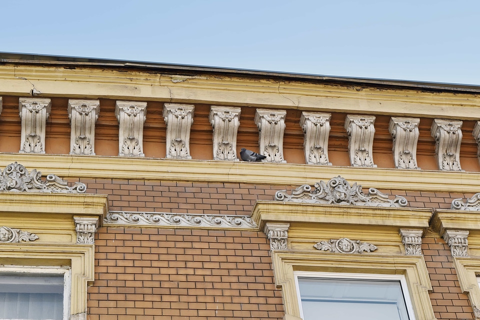 Baroque ornamental windows photo