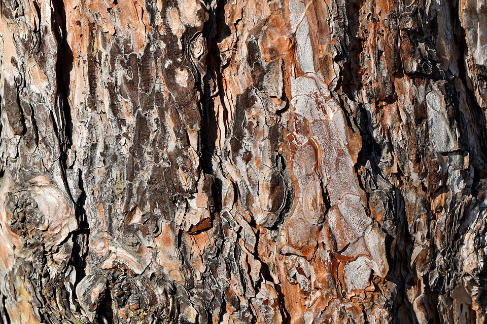 Rough pattern surface photo