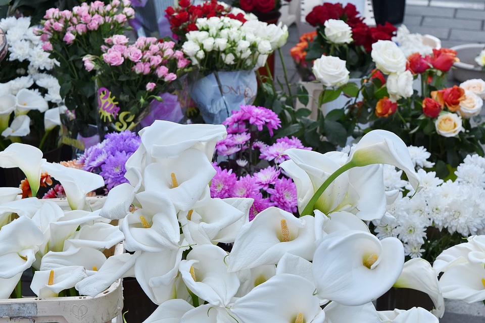 Still Life flowers bouquet photo