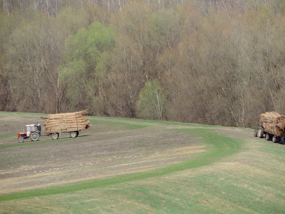 Agriculture field work hillside