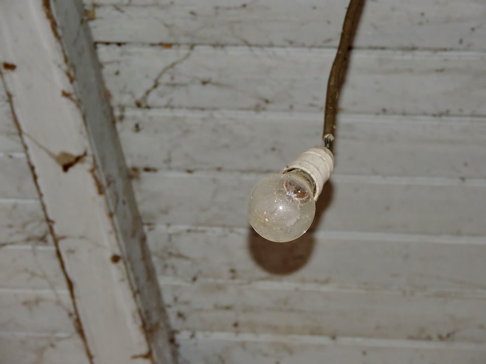 Electricity light bulb wood