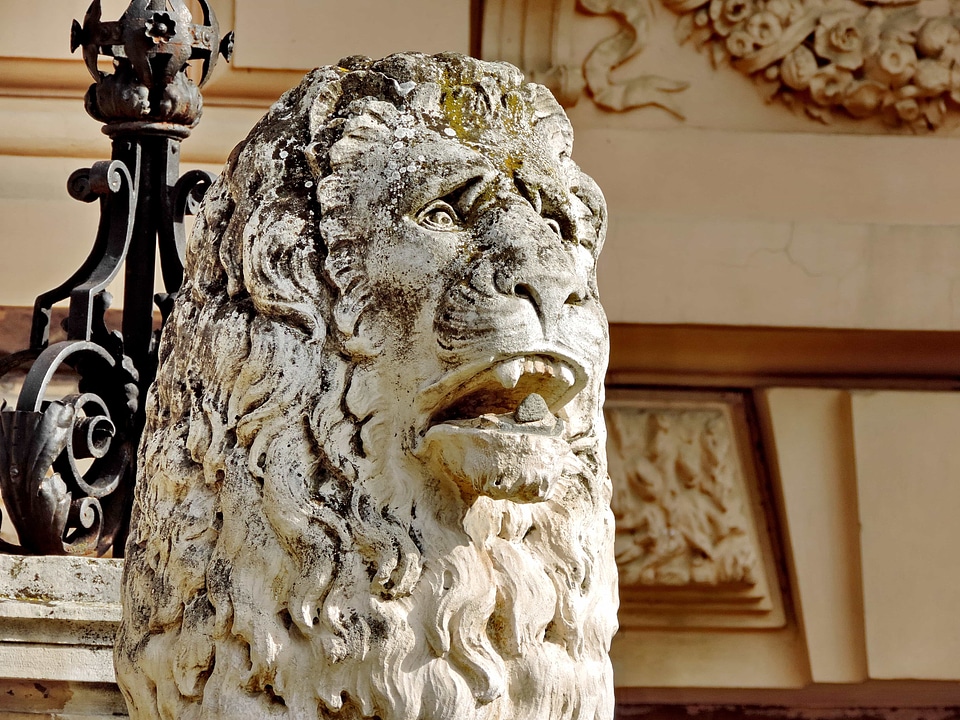 Head lion marble photo