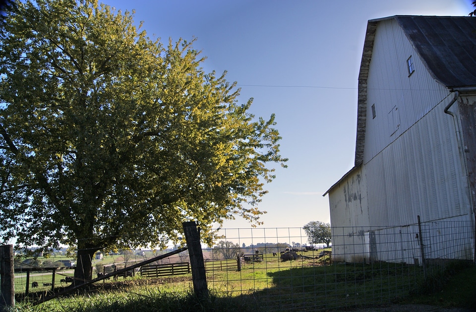 Country farming rustic