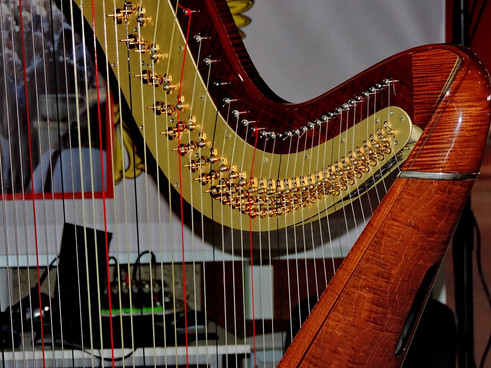 Acoustic luxury orchestra