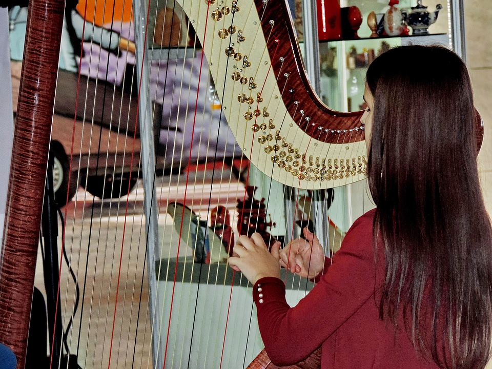 Musician pretty girl device
