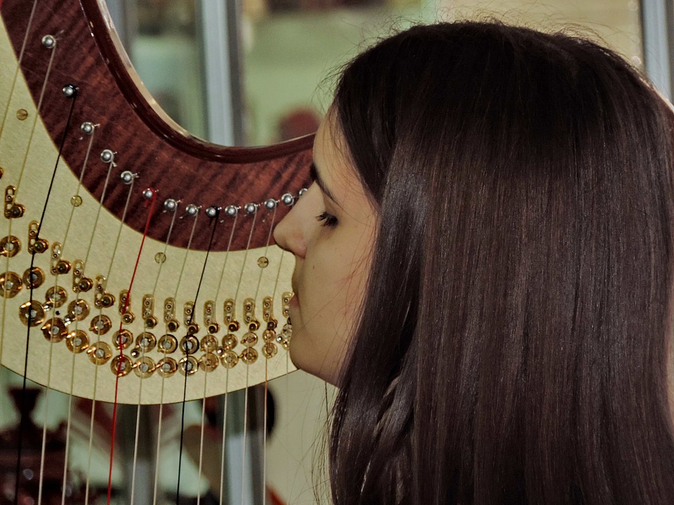 Brunette glamour musician