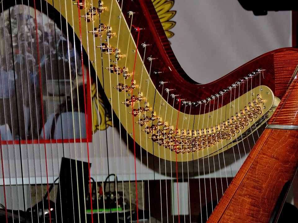 Music instrument device