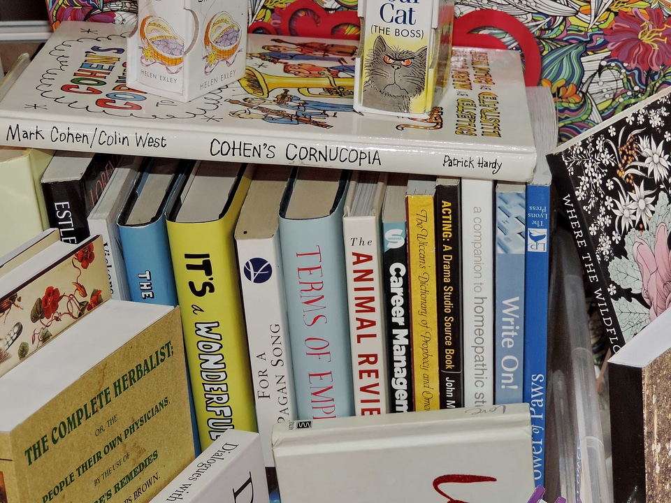 Books bookshop bookstore
