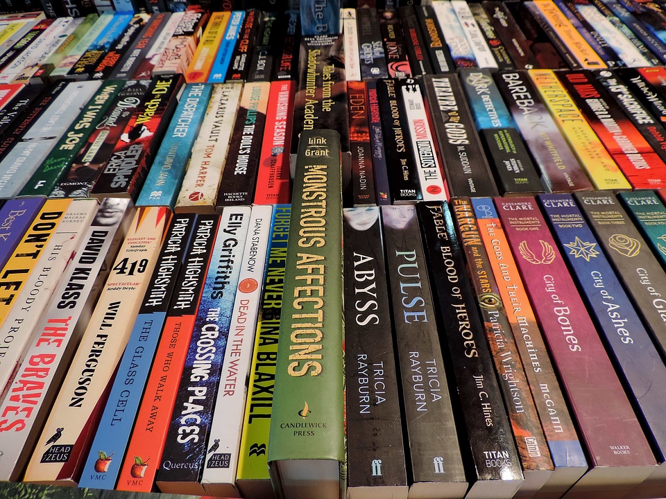 Book bookcase library