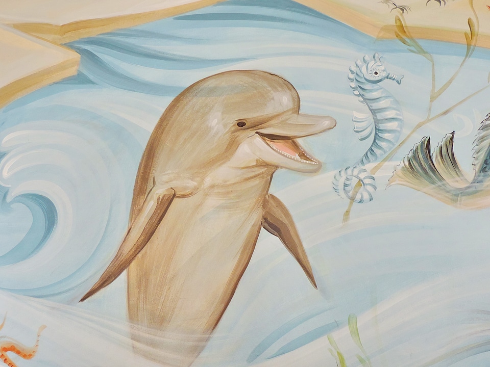 Creativity dolphin fine arts