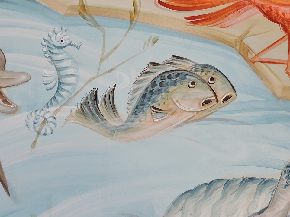 Dolphin fishes graffiti