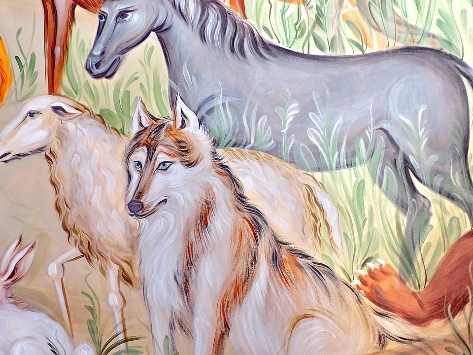 Animals wolf art