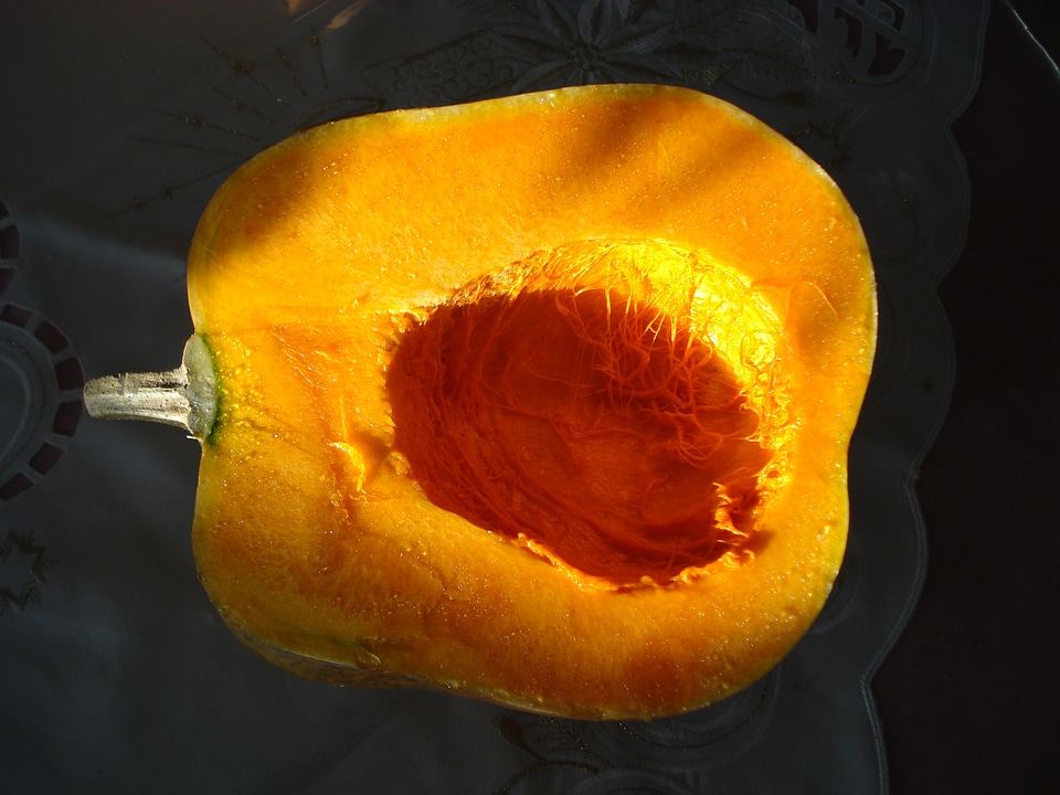 Pumpkin vegetables orange