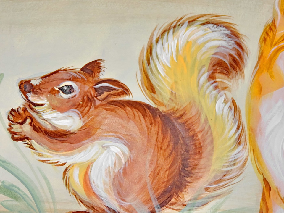 Design graphic squirrel
