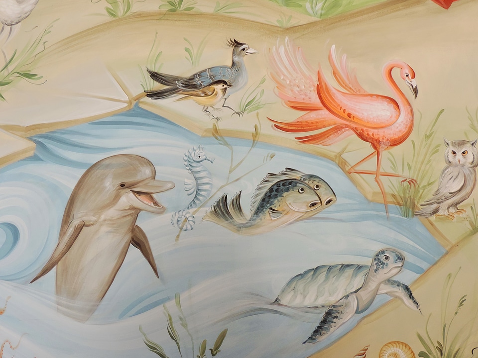 Design dolphin fine arts
