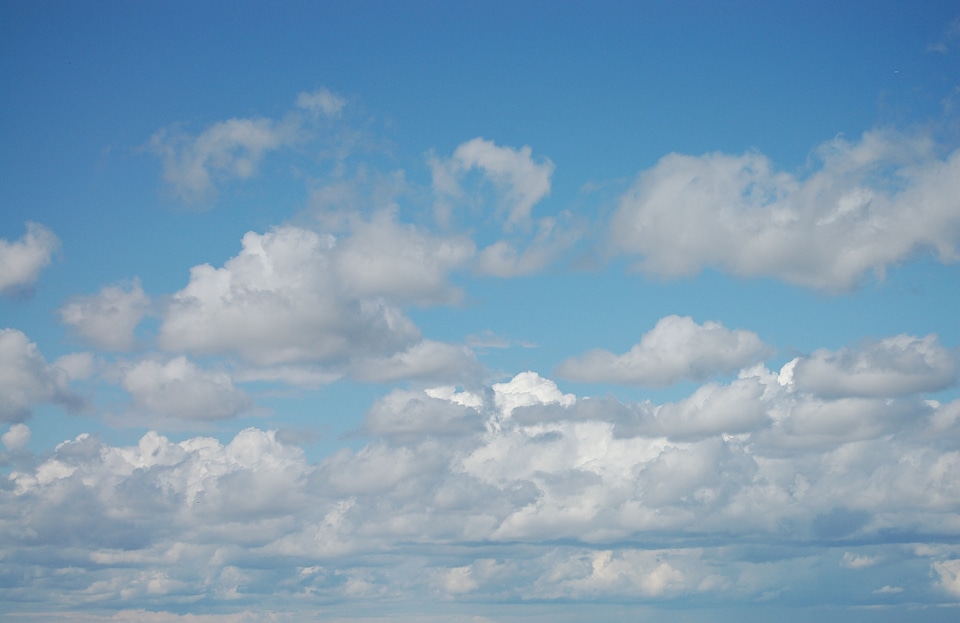 White blue freedom
