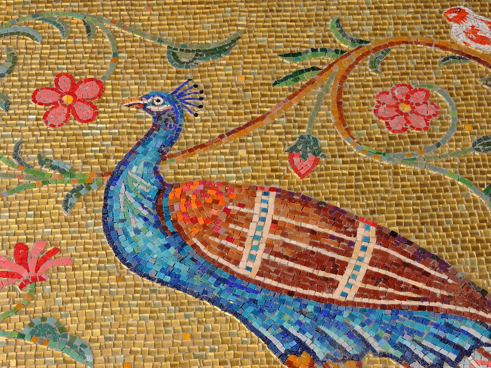 Art birds colorful