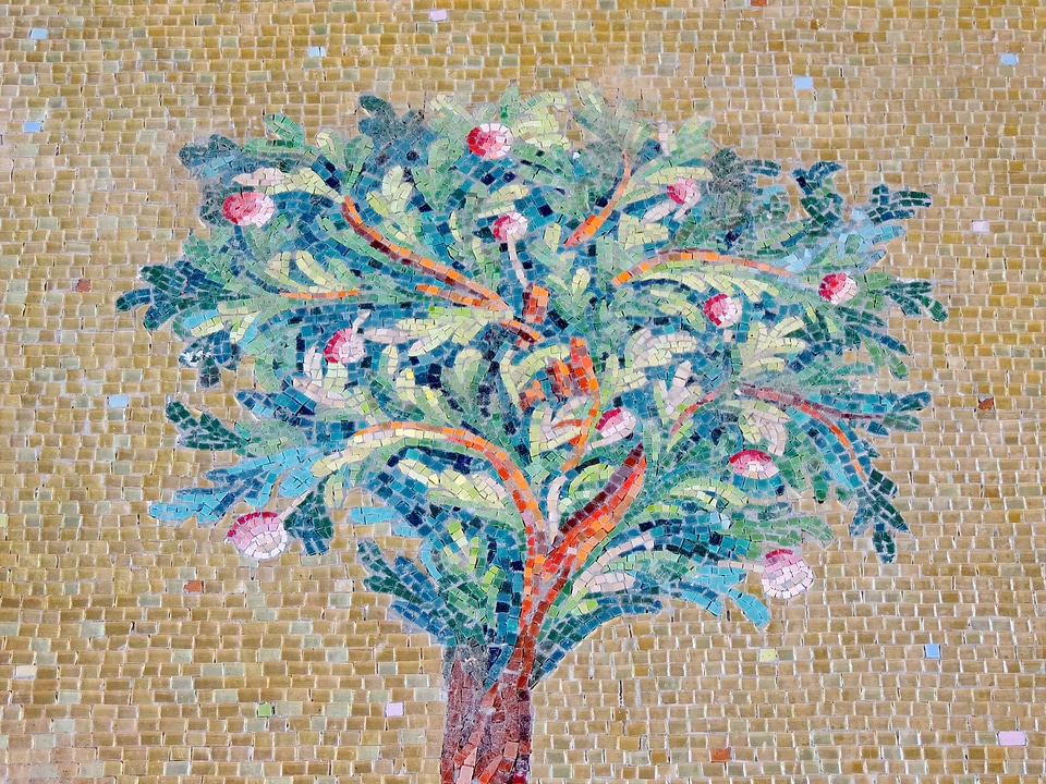Apple historic tree