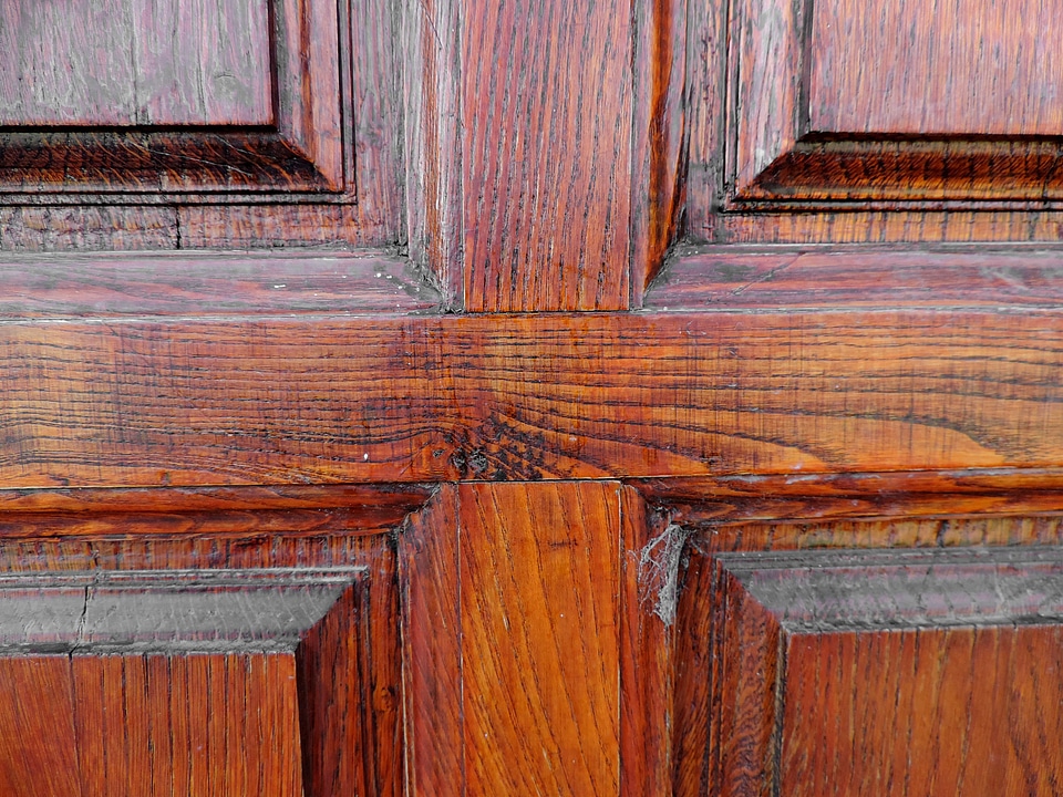 Carpentry oak wood