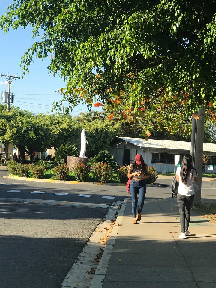 Pretty Girl sunshine road