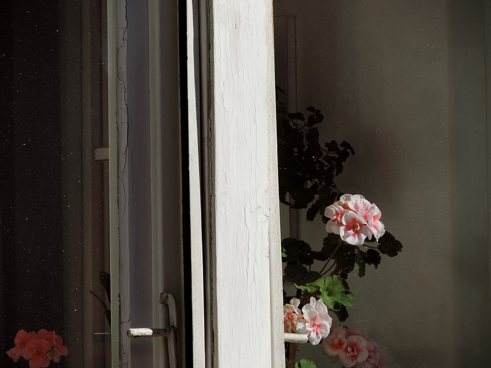 Window flower house