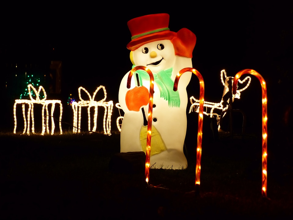 Garden canes christmas gifts