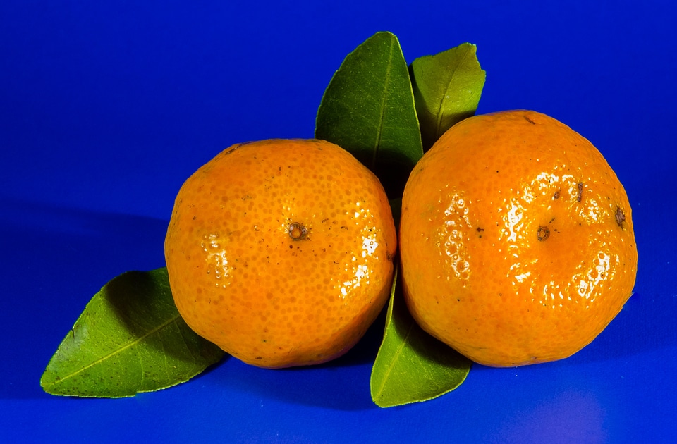 Mandarin fruit citrus fruit