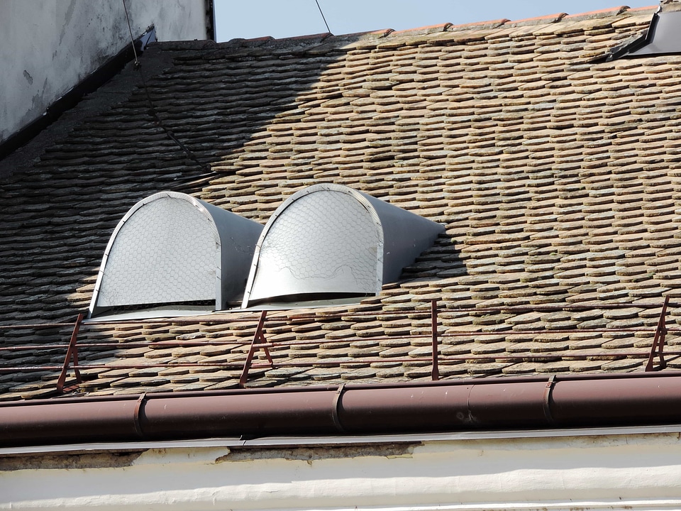 Architecture roofing roof