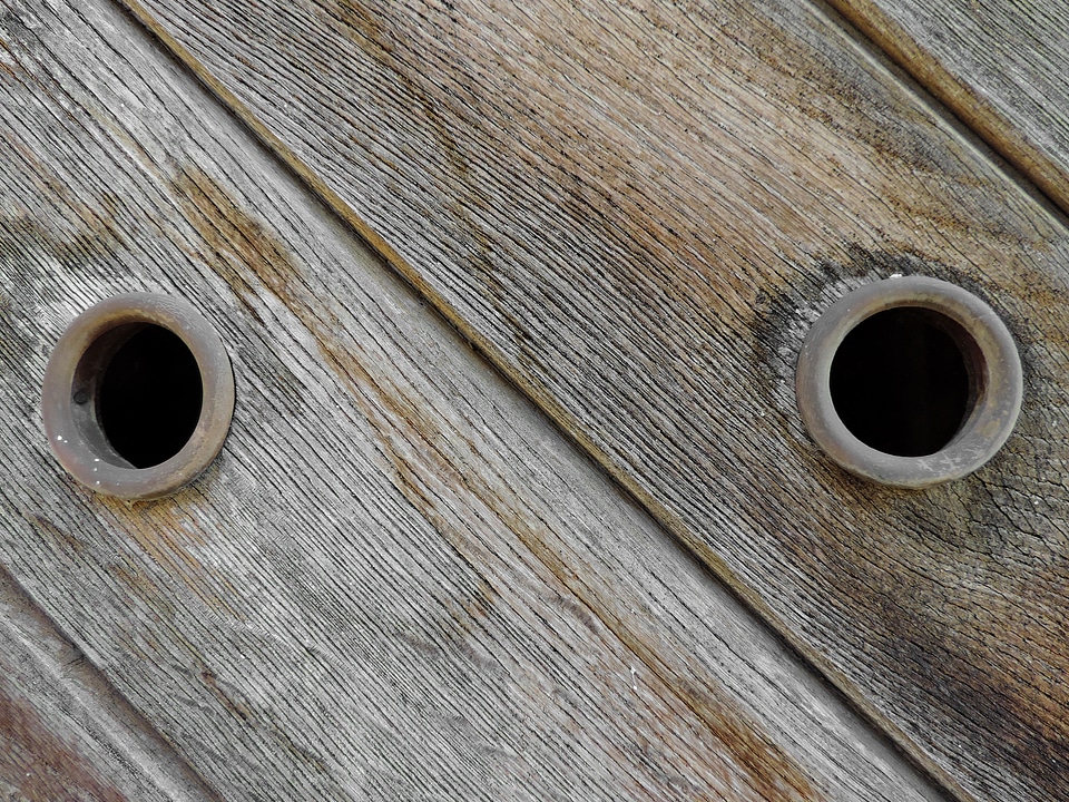Carpentry oak texture