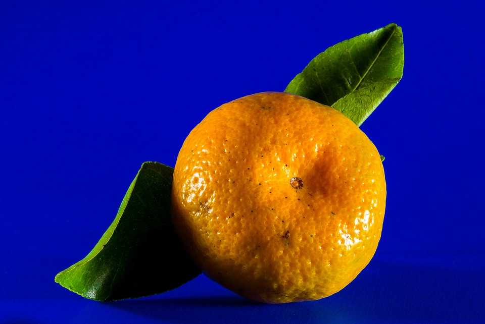 Mandarin fruit citrus fruit