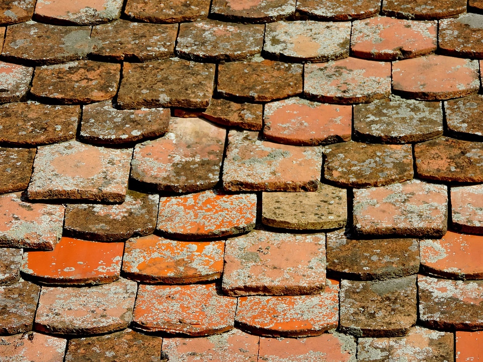 Wall architecture surface