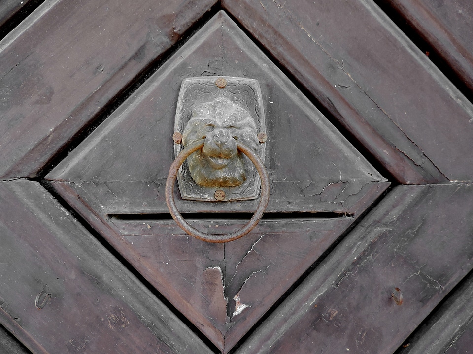 Door architecture wood