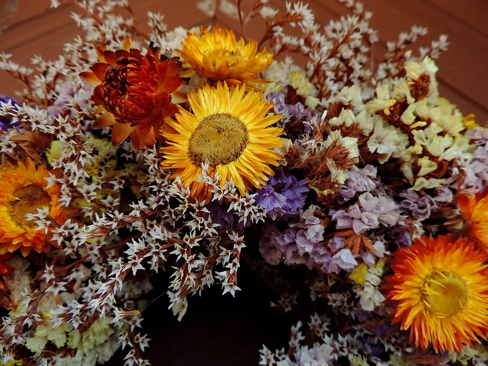 Decoration dry still life photo