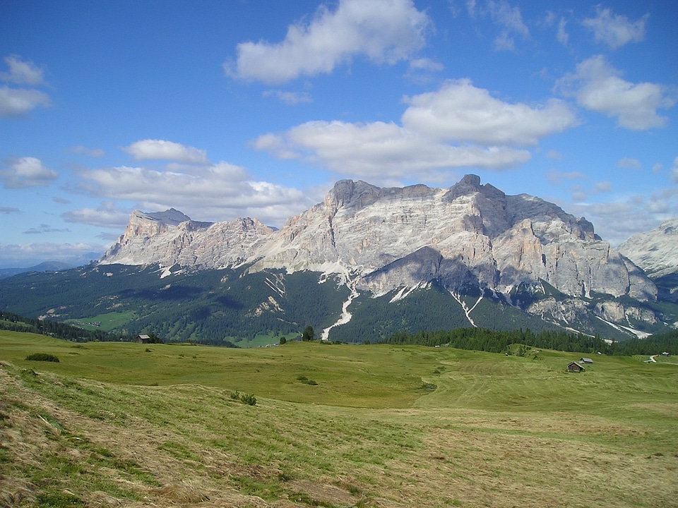 Meadow grass panorama mountains