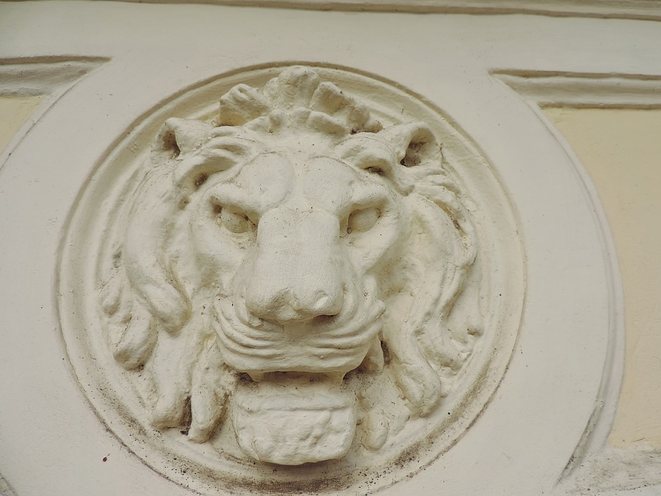 Baroque detail lion