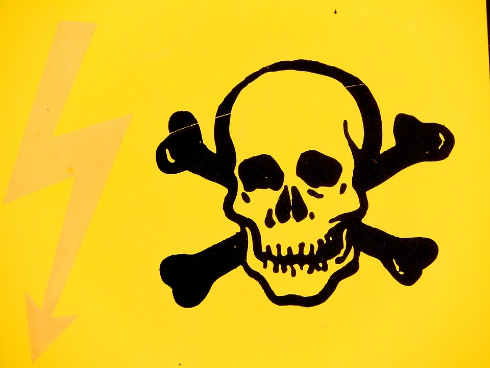 Danger sign skull