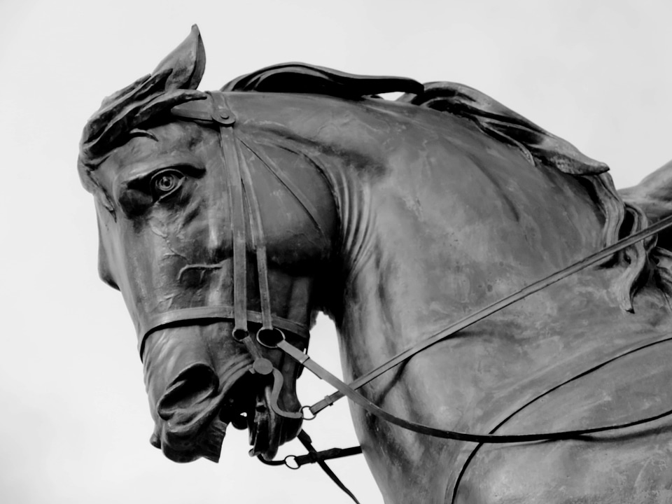 Black And White bronze sculpture