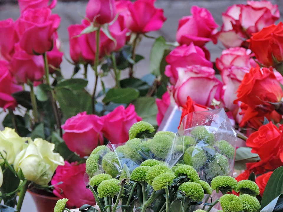 Bouquet garden flowers