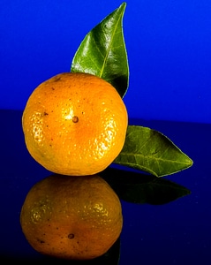 Mandarin fruit citrus fruit