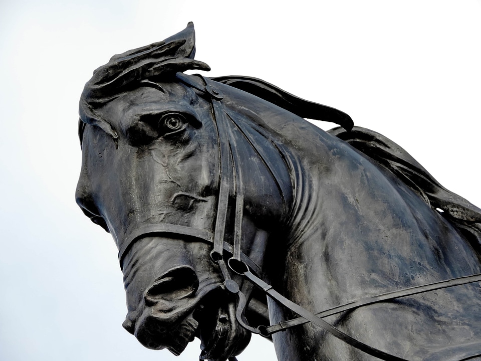 Bronze statue horse