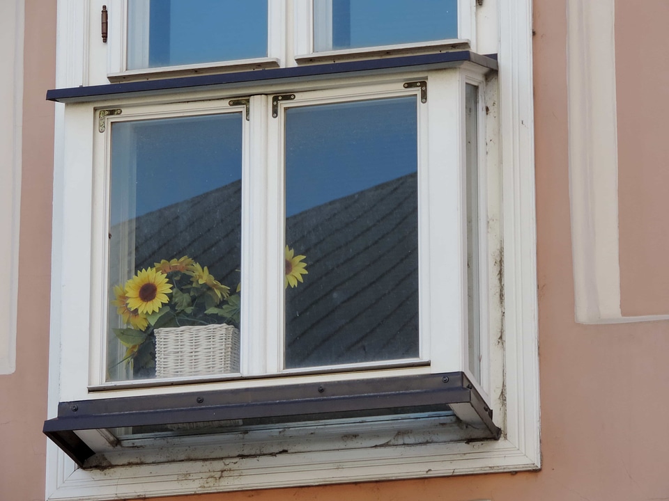 Baroque flowerpot sunflower photo