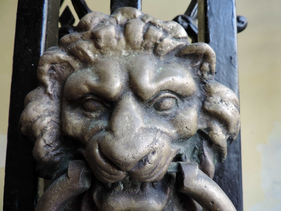 Art bronze front door