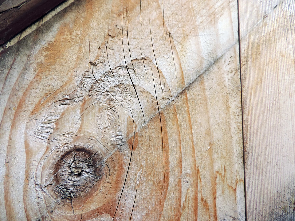 Carpentry knot wood