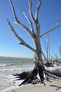 Beach sea vacations