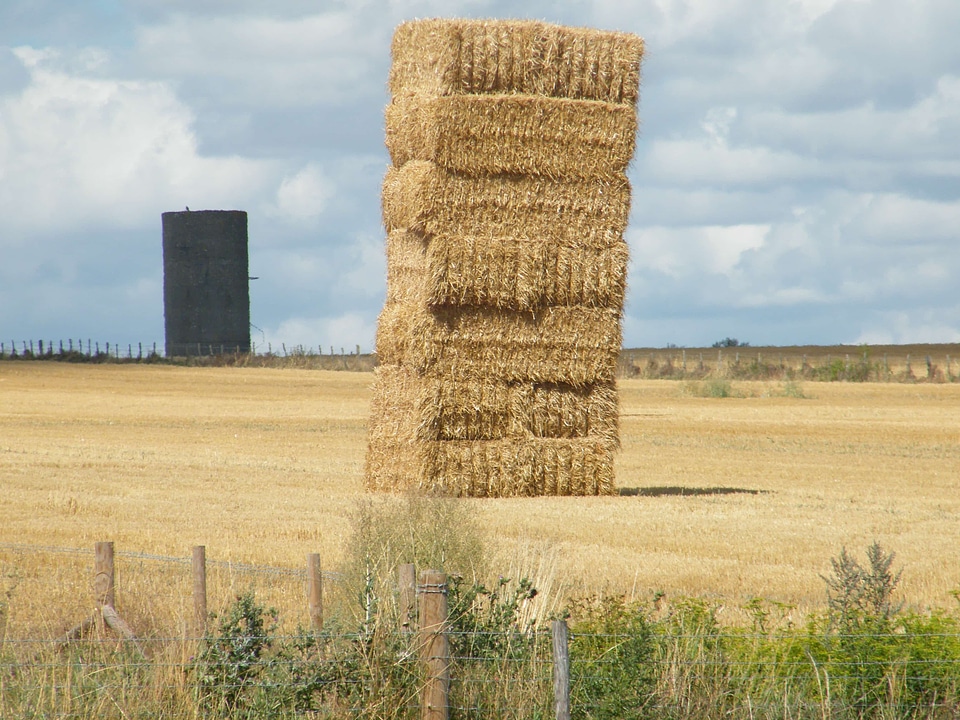 Farmland hay field haystack