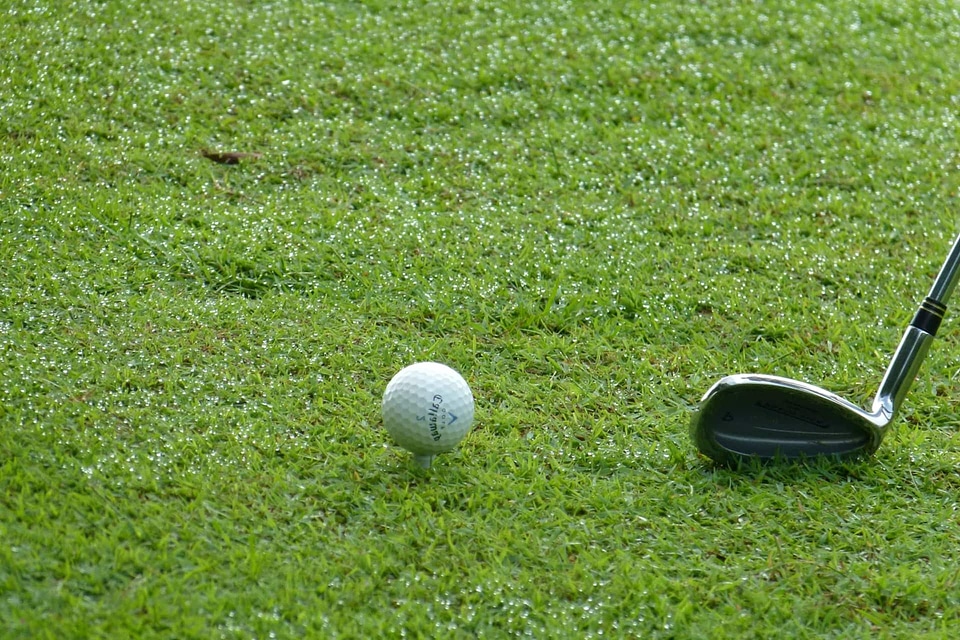 Golf Ball ball club