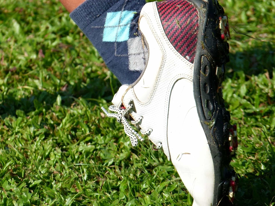 Shoe shoelace nature