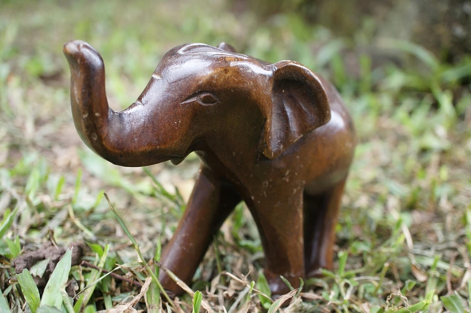 Brown detail elephant